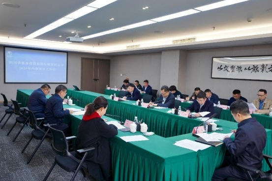 省尊龍凱時集團召開2025年內部審計工作會