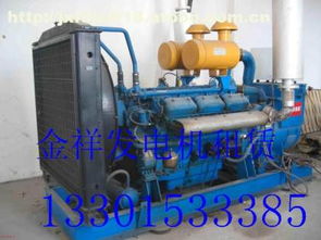 zld11,價(jià)格,廠(chǎng)家,供應(yīng)商,發(fā)電機(jī) 發(fā)電機(jī)組,宜興市萬(wàn)石鎮(zhèn)金祥發(fā)電機(jī)租賃服務(wù)部 熱賣(mài)促銷(xiāo) 阿土伯網(wǎng)